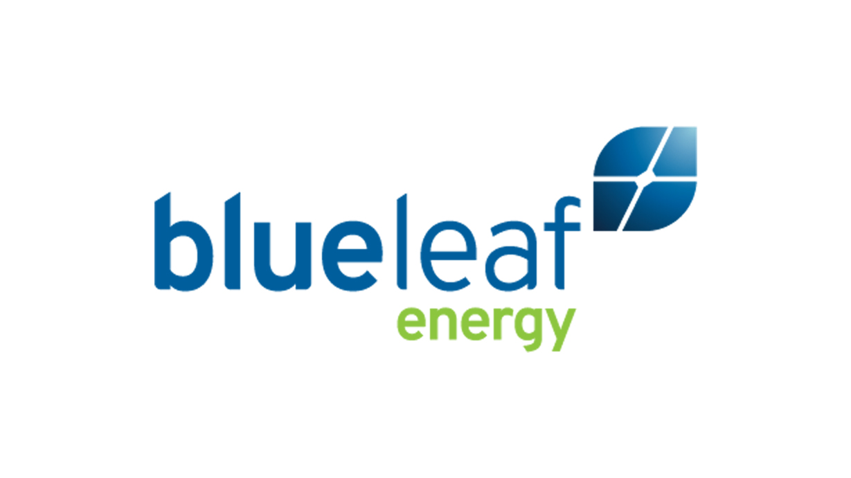 Blue Leaf Logo